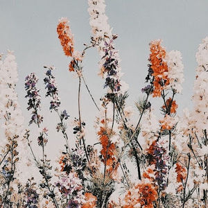 Meet your Posher, Avery